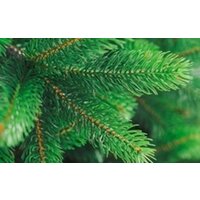 Бифорес Премиум Микс (1.65 м, светло-зеленый) Image #2