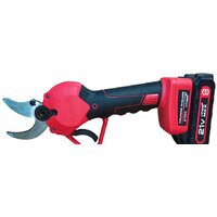 Edon UPS-21/100 (с 2-мя АКБ)