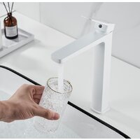 Shevanik S9911C Image #4