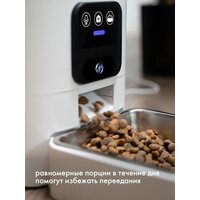 Sundays Easy Feed Pro HWN250303-1 Image #6