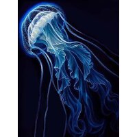 Молли Красивая медуза 40x50 FHR0584