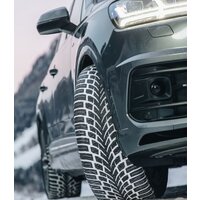 Nokian Tyres WR SUV 4 235/60R17 106H Image #4