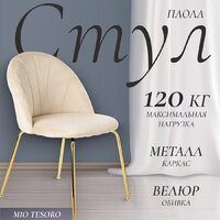 Mio Tesoro Паола DC-125М (кремовый/золото, G062-3)