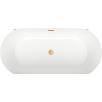 Wellsee FR.Euphoria 2.0 166x77 235501004 (отдельностоящая ванна белый глянец, экран, ножки золото, сифон-автомат золото) Image #4