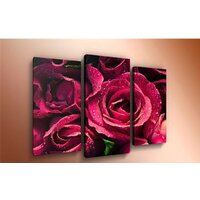 Arthata m-000214 75x50