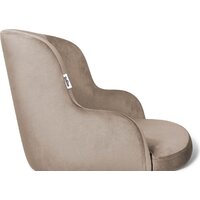 Sheffilton SHT-ST39/S95-WH (латте/прозрачный лак/черный муар) Image #3