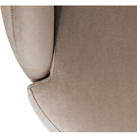 Sheffilton SHT-ST39/S95-WH (латте/прозрачный лак/черный муар) Image #5