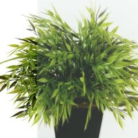 Triton Сигма 100x100 (хром, без поддона) Image #5