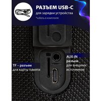 Aiwa PAS-H200 (черный) Image #13