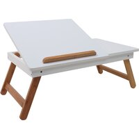 AksHome Gerbera 106663