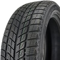 Зимние шины DoubleStar DW09 235/55R20 102H - Превью изображения №3 — Интернет-Магазин TECNO.BY