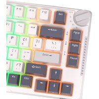 Royal Kludge RK-H81 RGB White Night (RK Cyan) Image #4