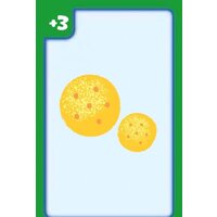 Звезда Ми-ми-мишки. Пикник в лесу 8708 Image #3