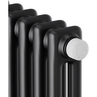 Royal Thermo Insignia VC2180 - 04 секций RAL9005m Image #3