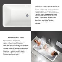 Wellsee Cute Twin S 168x75 23830104R (отдельностоящая ванна белый глянец, экран, ножки, сифон-автомат золото) Image #5