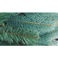 Бифорес Премиум Микс (1.95 м, голубой) Image #2