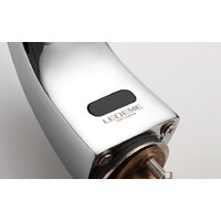 Ledeme L1055-13 Image #8