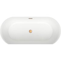 Wellsee Éclatant 2.0 167x79 231401004 (отдельностоящая ванна белый глянец, экран, ножки, сифон-автомат золото) Image #4