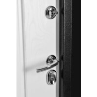 Guard Термо MG109 86x205 правая (черное серебро/белый ясень) Image #4