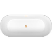 Wellsee Shell 170x75 28170304R (отдельностоящая ванна белый глянец, экран, ножки, сифон-автомат золото) Image #4