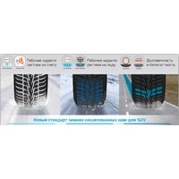 Hankook Winter i*cept X RW10 215/60R17 96T Image #4