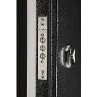 Guard Термо MG109 96x205 правая (черное серебро/белый ясень) Image #6