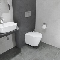 Lauter Longer 2110822 + GROHE Rapid SL 38721001 с кнопкой (овальная, хром) Image #15