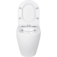 Roxen Antares 650185-01 Rimless Soft Close Image #7