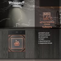 Weissgauff EOY 456 PDB Image #7