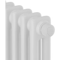 Royal Thermo Insignia VC2180 - 10 секций RAL9016 Image #3