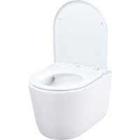 IDDIS Slide SLIRDSEi25 Image #8