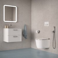 IDDIS Slide SLIRDSEi25 Image #10