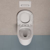 IDDIS Slide SLIRDSEi25 Image #11