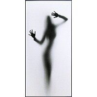 Декарт 8Л0404