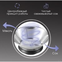 Zigmund & Shtain EJ-757 Image #7