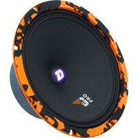 DL Audio Gryphon Pro 200 SE Image #4