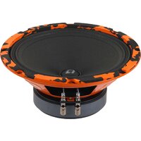 DL Audio Gryphon Pro 200 SE Image #10