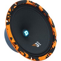 DL Audio Gryphon Pro 200 SE Image #3
