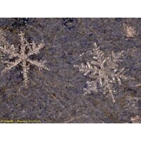 Levenhuk DTX 500 LCD 61024 Image #2