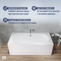 Lauter Ava 170 21208070 (с ножками и сифоном 21Y32001 матовый черный) Image #4