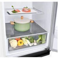 Холодильник LG DoorCooling+ GA-B509LQYL - Превью изображения №12 — Интернет-Магазин TECNO.BY