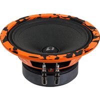 DL Audio Gryphon Pro 165 SE Image #10