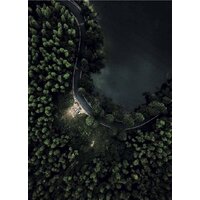 Stamprint Лесное озеро NT020 (100x70)