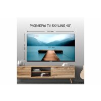 Skyline 40LST5971 Image #11