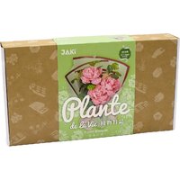 Jaki Розовый букет JK2687 Image #7