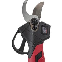 Edon APS-21CBL (с 1-им АКБ) Image #6