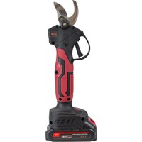 Edon APS-21CBL (с 1-им АКБ) Image #4