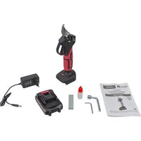 Edon APS-21CBL (с 1-им АКБ)