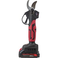 Edon APS-21CBL (с 1-им АКБ) Image #3