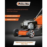 Oleo-Mac G 48 TBX Comfort Plus Image #5